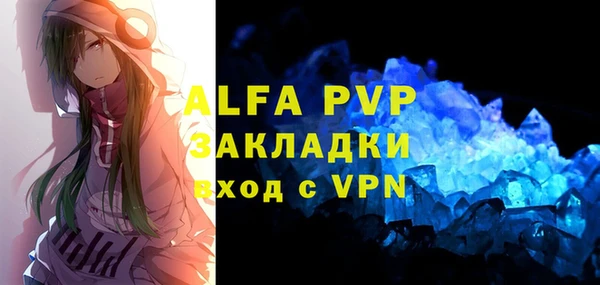 стаф Алексин