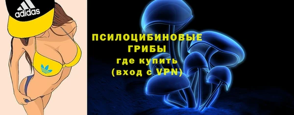 стаф Алексин