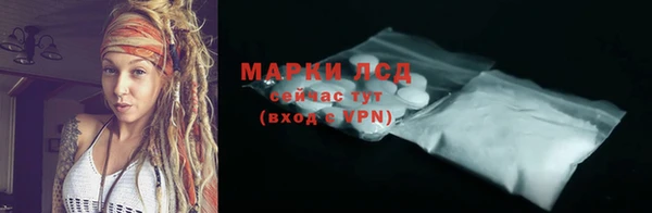 сатива Алзамай