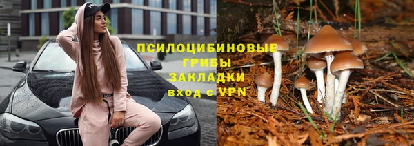 стаф Алексин