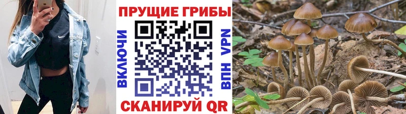 Псилоцибиновые грибы ЛСД  Купить закладки  Волчанск 